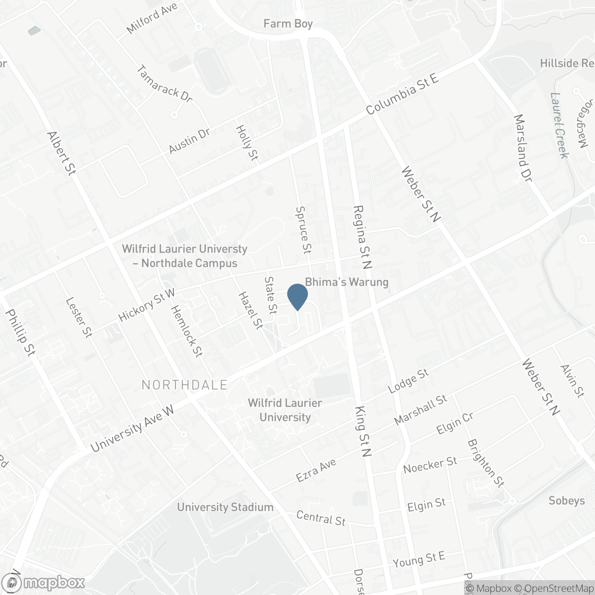 23 FIR Street, Waterloo, Ontario N2L 3H4